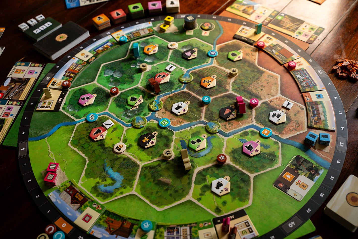 Capstone Games Forestry Strategy Board Game for 1-4 Players Ages 14+