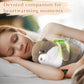 Ayehe Weighted Microwavable Stuffed Animal, Turtle Otter