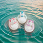 Fun Express - Pegasus Rubber Ducky - Toys - Character Toys - Rubber Duckies - 12 Pieces