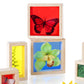 Guidecraft Treasure Blocks - Primary: Smooth Wooden Observation Stacking Blocks with Transparent Windows, Educational Toy for Kids