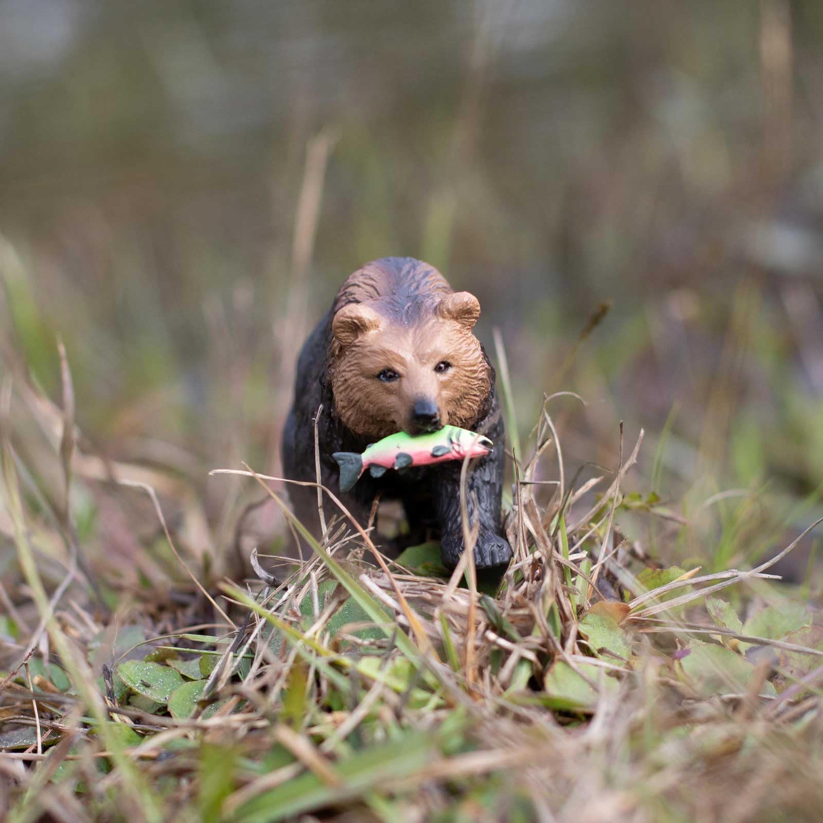 Safari Ltd. Grizzly Bear Figurine - Detailed 4.5" Plastic Model Figure - Fun Educational Play Toy for Boys, Girls & Kids Ages 3+