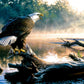 SUNSOUT INC - Scouting the River - 1000 pc Jigsaw Puzzle by Artist: Greg Alexander - Finished Size 20" x 27" - MPN# 62349