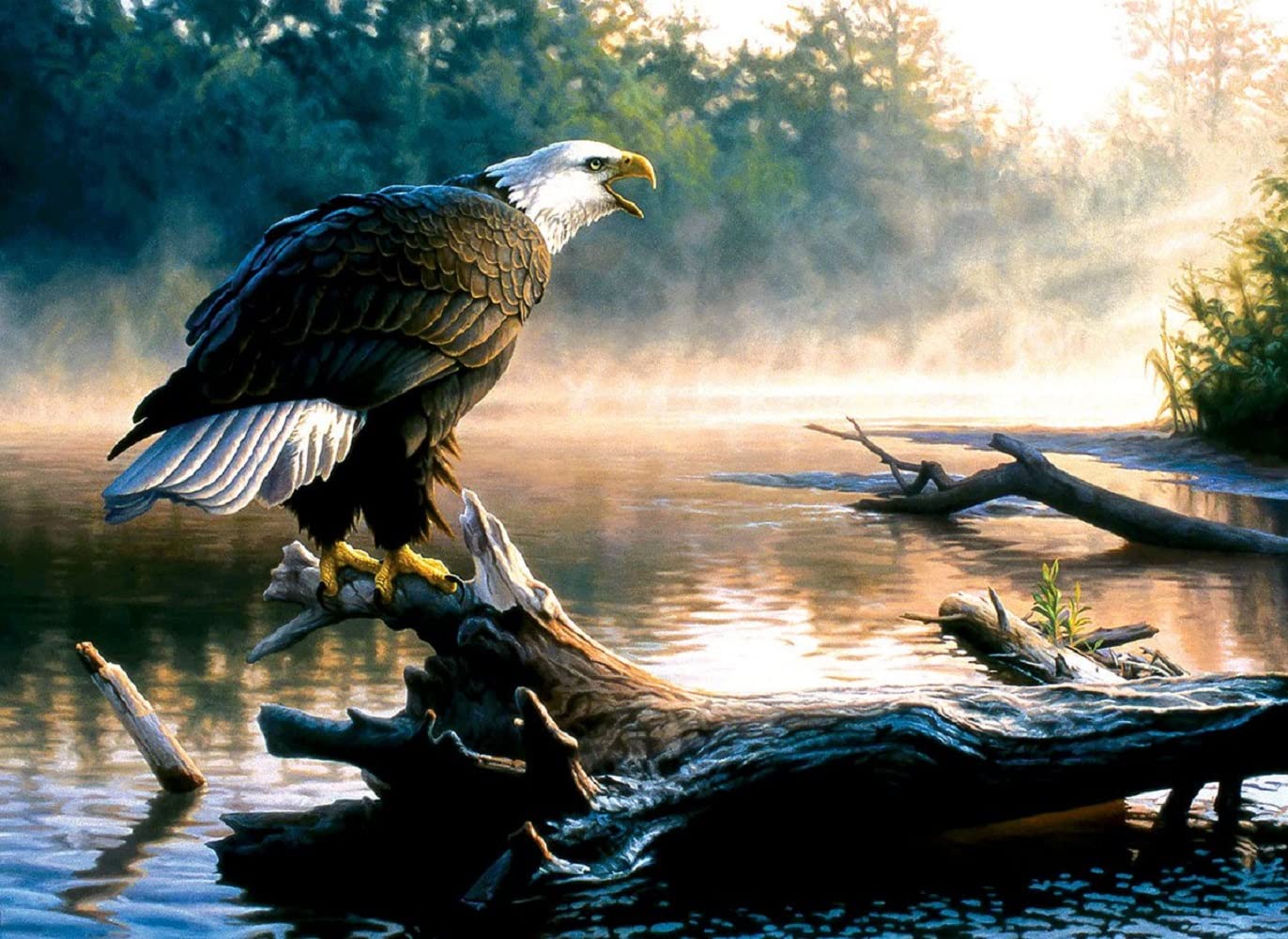SUNSOUT INC - Scouting the River - 1000 pc Jigsaw Puzzle by Artist: Greg Alexander - Finished Size 20" x 27" - MPN# 62349