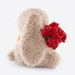11.4" Adorable Bunny Plush Stuffed Animal - Hugging Rose Bouquet, Ultra-Soft Cuddly Toy, for Girls, Kids, Valentine's Day (Brown/Red)-A Surprise That