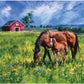 Buffalo Games - Near and Dear - 1000 Piece Jigsaw Puzzle for Adults