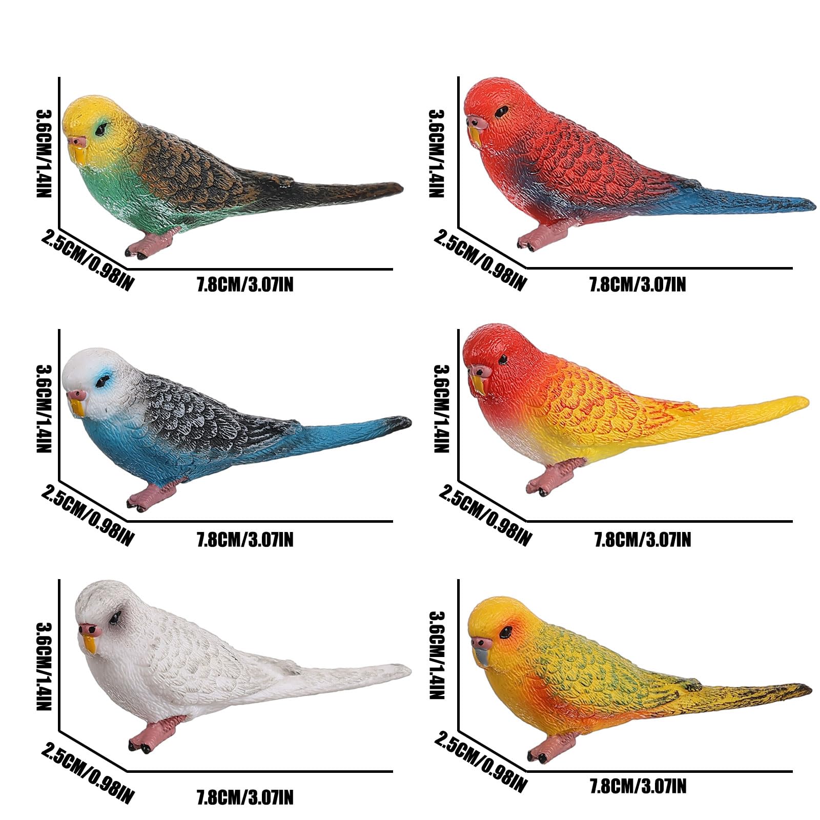 JOKFEICE Birds Figures - 6pcs Realistic ParrotToys Animal Figures Set - Simulated Plastic Animal Models Toys Kids Educational Toys for Boys and Girls