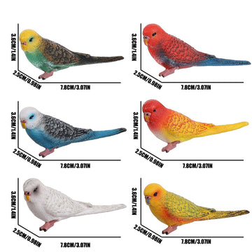 JOKFEICE Birds Figures - 6pcs Realistic ParrotToys Animal Figures Set - Simulated Plastic Animal Models Toys Kids Educational Toys for Boys and Girls