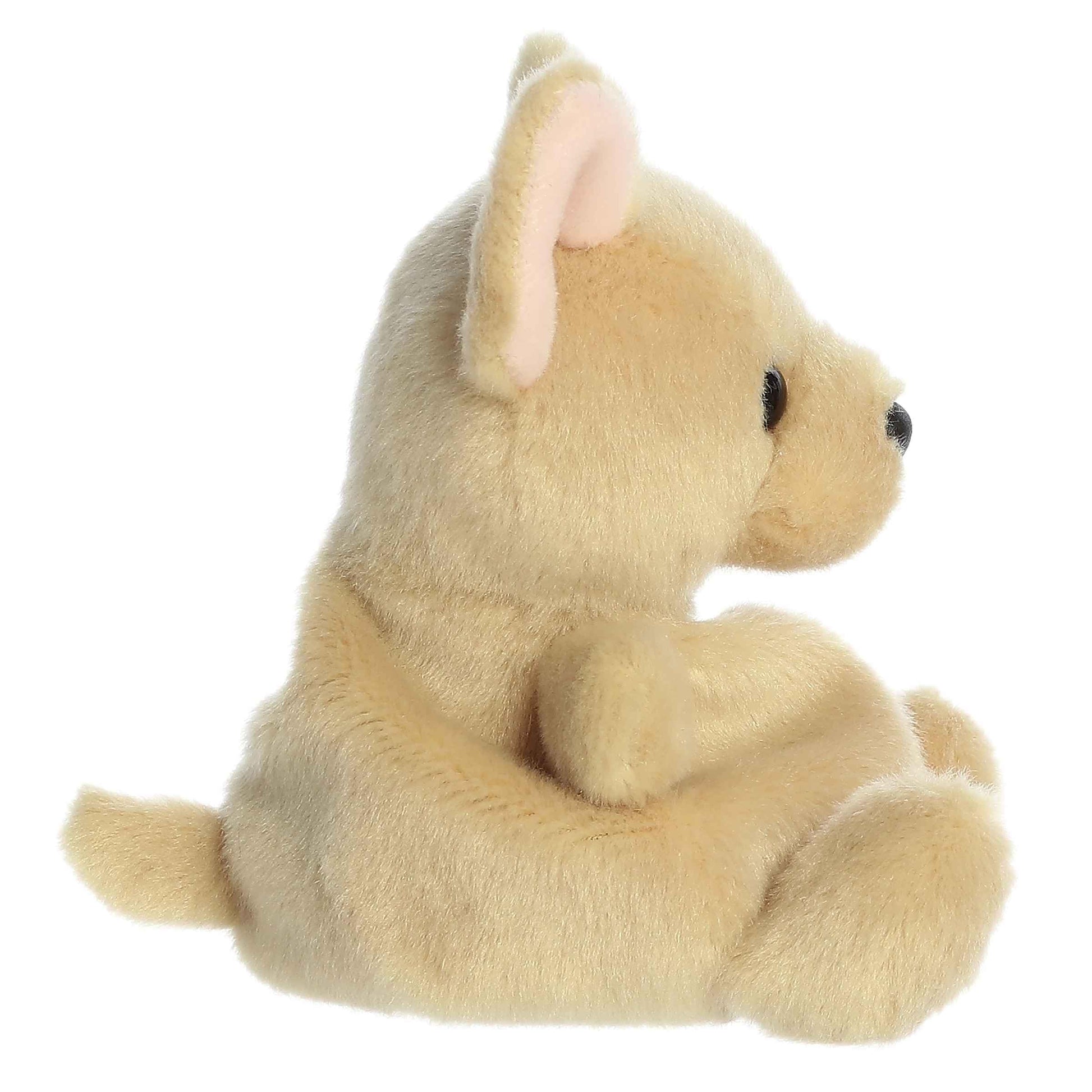 Aurora® Adorable Palm Pals™ Cookie Chihuahua™ Stuffed Animal - Fun Collectible Plush for Kids and Adult Collectors - Perfect for Decorating Rooms