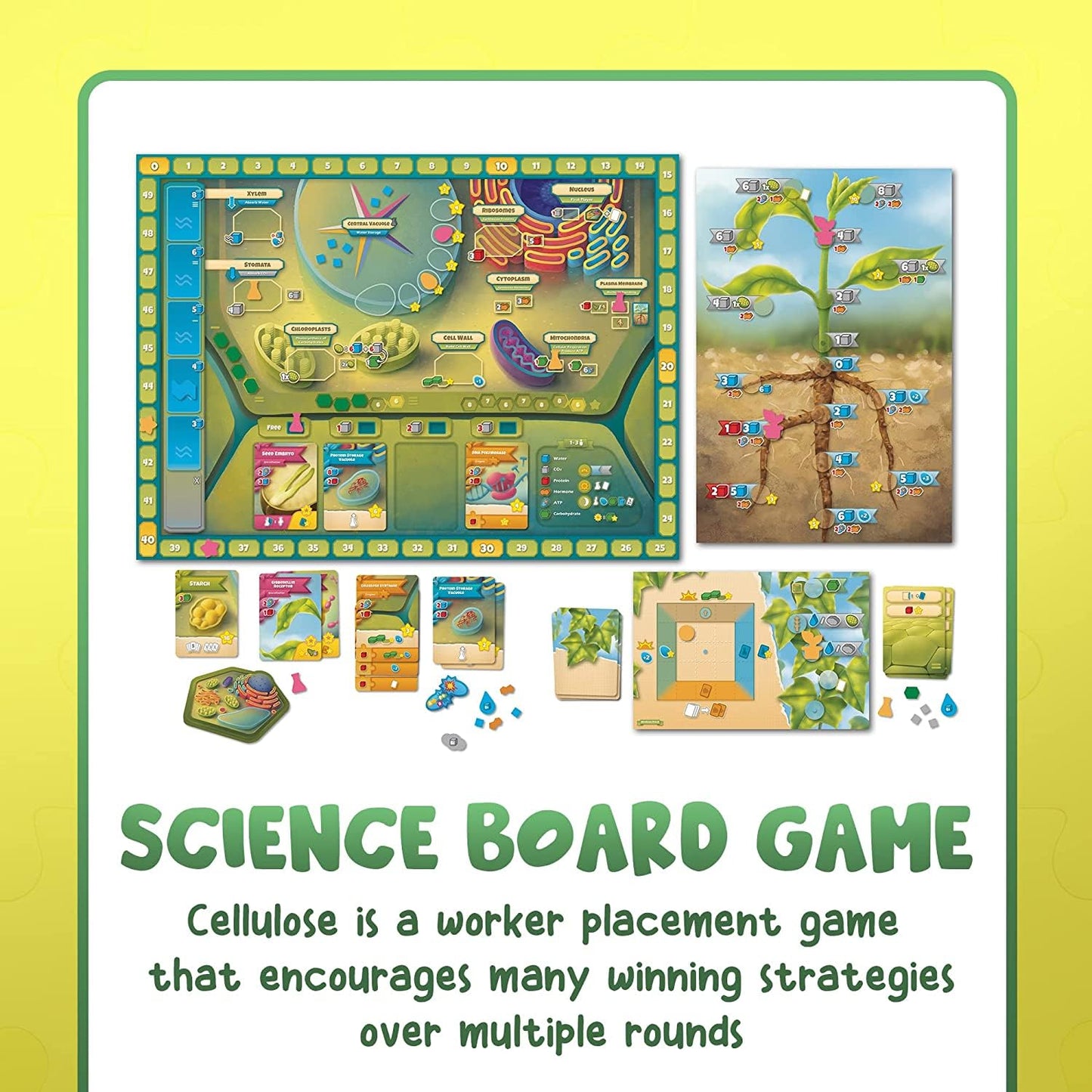 Cellulose: A Plant Cell Biology Game | Mensa Recommended Strategic & Entertaining Game to Learn Photosynthesis, DNA & Biochemistry | Educational STEM