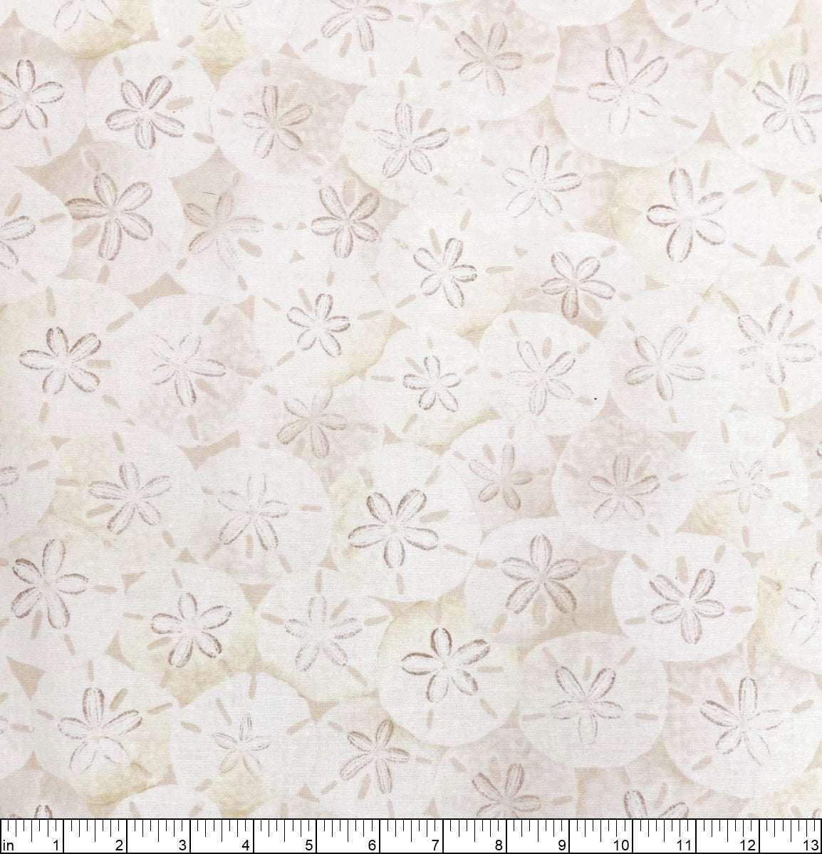 Timeless Treasures Fabrics Beach Dreams, Take Me Away Packed Sand Dollars On Beach Sand