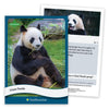 Parkside Curiosity Cards - Animal Kingdom Collectible Trading Cards - 50 Wildlife Flash Cards for Girls & Boys - STEM Learning Flashcards for Kids
