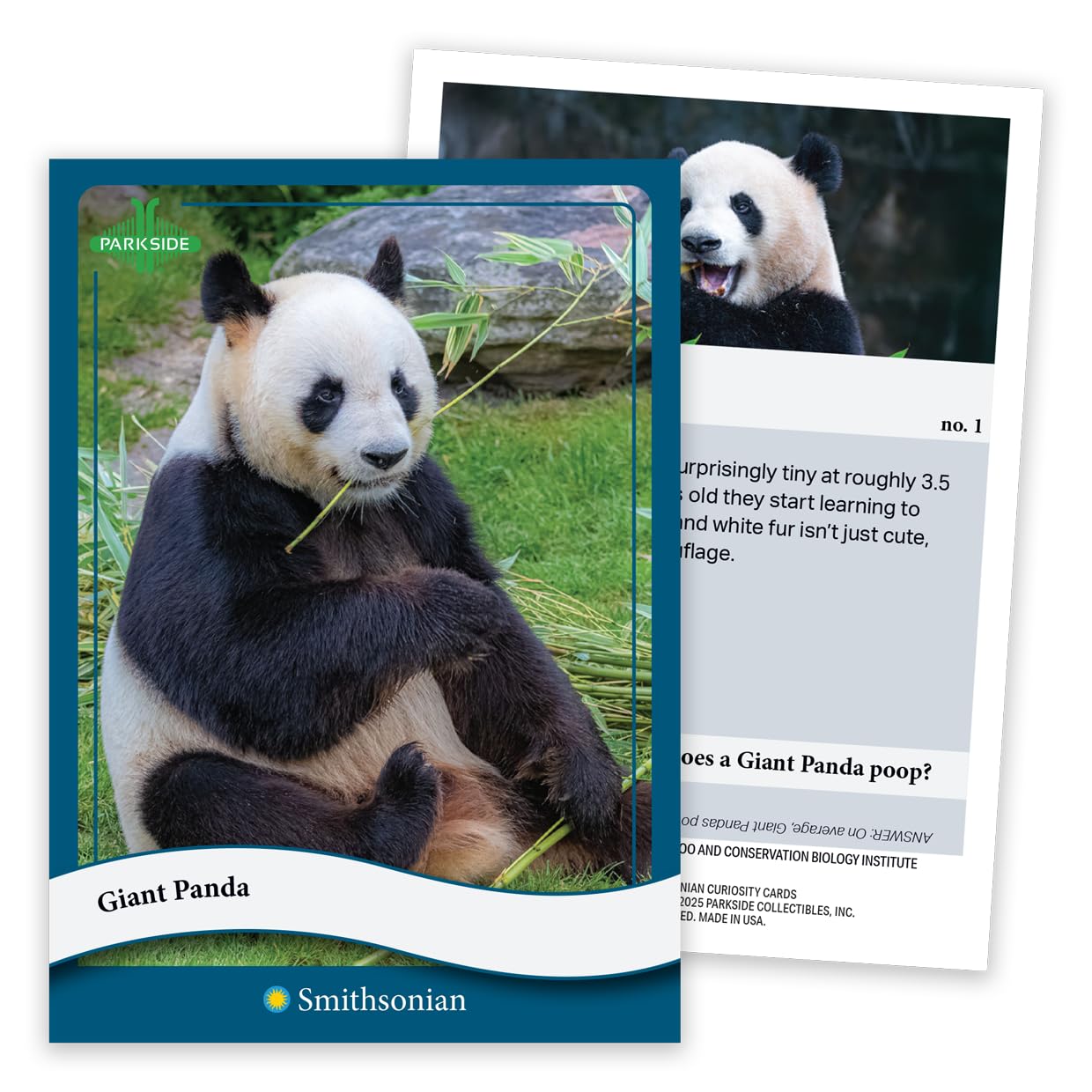 Parkside Curiosity Cards - Animal Kingdom Collectible Trading Cards - 50 Wildlife Flash Cards for Girls & Boys - STEM Learning Flashcards for Kids