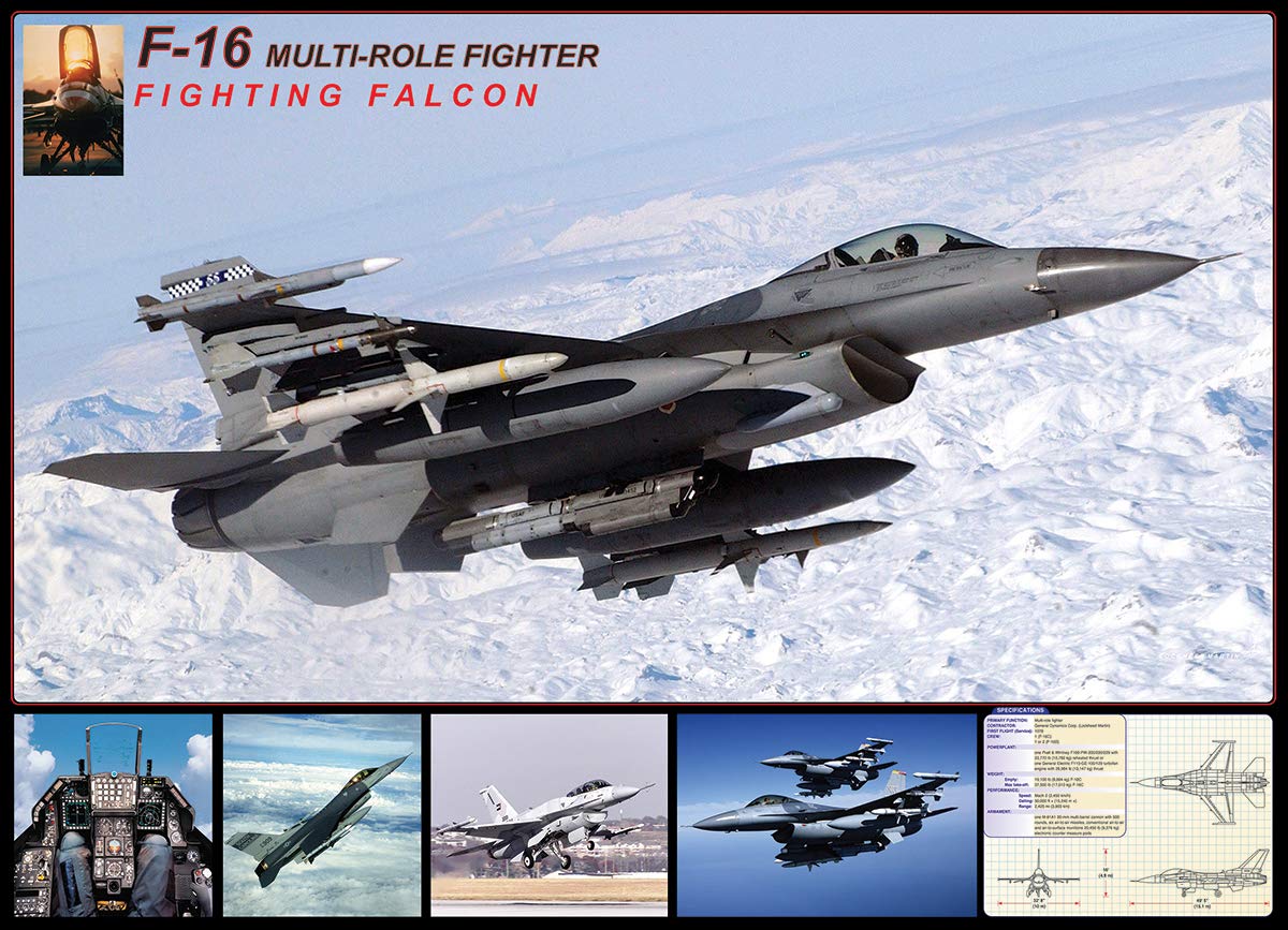 EuroGraphics F-16 Fighting Falcon Puzzle (1000-Piece), Model:6000-4956