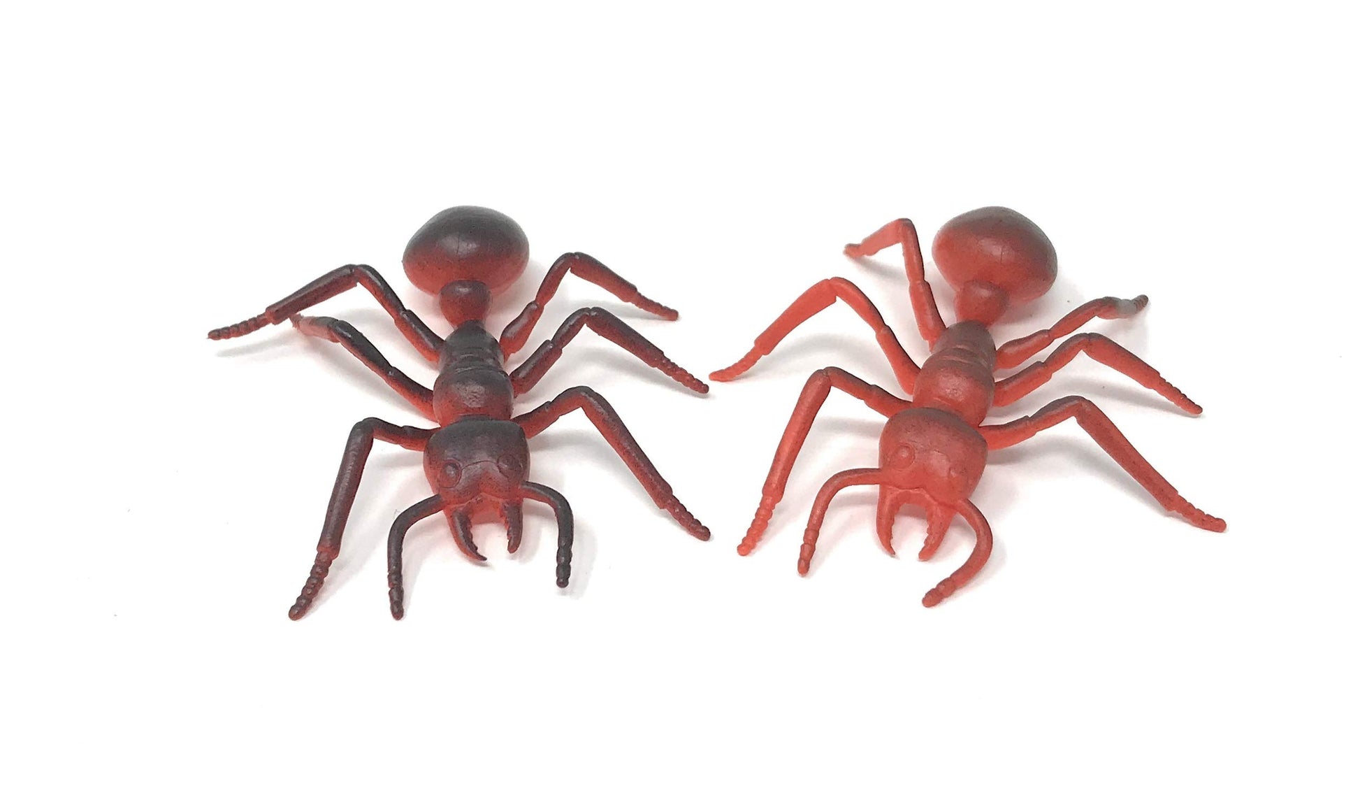 US Toy - US Assorted Mini Insect Bug Figures, Plastic (2 Inches), (2-Pack of 12)