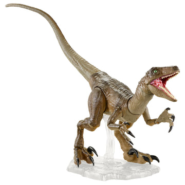 Jurassic World Toys Amber Collection Velociraptor Dinosaur Figure Collectible Toy 6-in Scale, Posable Joints, Authentic Look & Stand for 8 Years Old &
