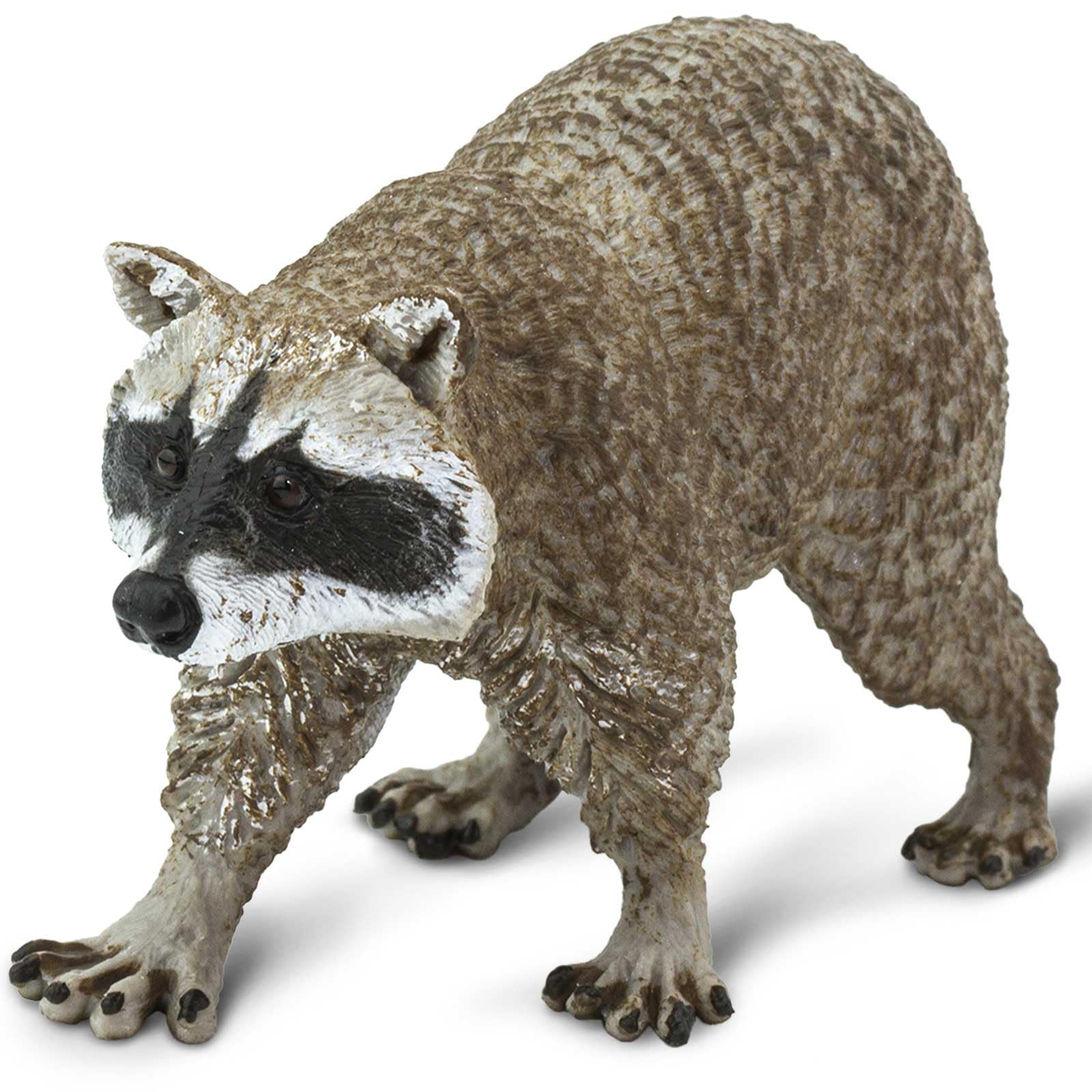 Safari Ltd. Raccoon Figurine - Detailed 3.5" Plastic Model Figure - Fun Play Toy for Boys, Girls & Kids Ages 1+