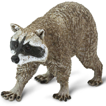 Safari Ltd. Raccoon Figurine - Detailed 3.5" Plastic Model Figure - Fun Play Toy for Boys, Girls & Kids Ages 1+