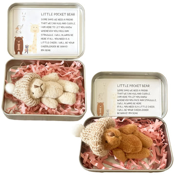 Roioiow 2 Pieces My Little Worry Bear in Tin Box- Plush Teddy Pocket Hug with Greeting Cards for Support, Relationship Gifts for Friends, Colleagues
