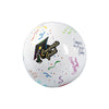 Fun Express Inflatable Autograph Graduation Beach Balls (Set of 12) Grad Party Supplies