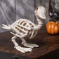 Crazy Bonez Skeleton Duckling - 5.75" Halloween Skeleton Animal Decoration, Realistic Bone Detail, Durable All-Weather Plastic Duckling Figurine