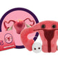 GIANTmicrobes Uterus Plush -Stuffed Uterus with Magnetic Detachable Ovaries