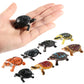 Bememo 16 Pcs Turtle Toys Mini Plastic Turtles Figurines for Kids