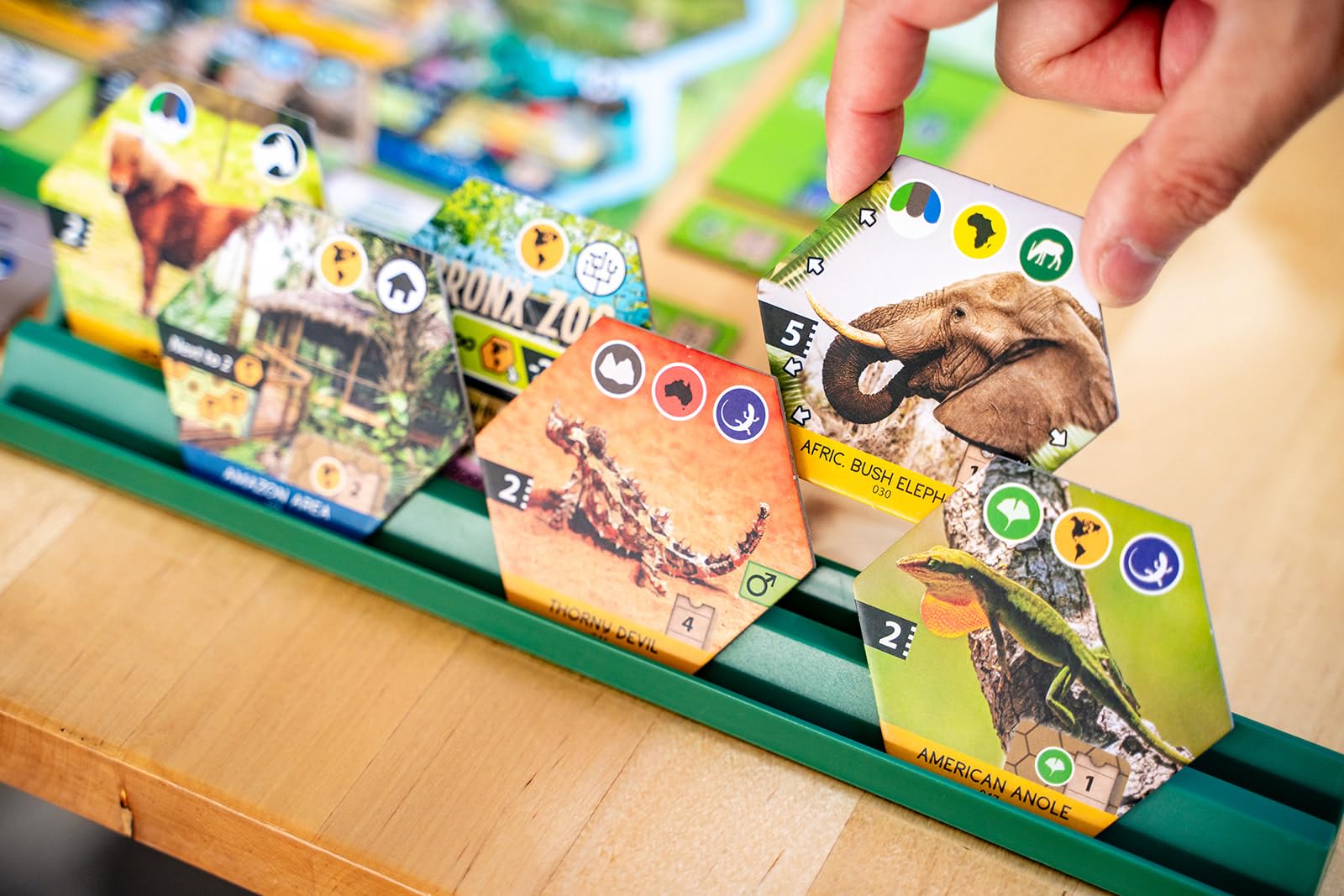 Capstone Games Sanctuary Animal-Themed Strategy Board Game