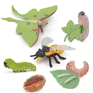 BRETOYIN Life Cycle of a Luna Moth and Bee - 8PCS Lifecycle Set Miniature Insect Lifecycle Collection Realistic Moth Family Educational Toy Figurines