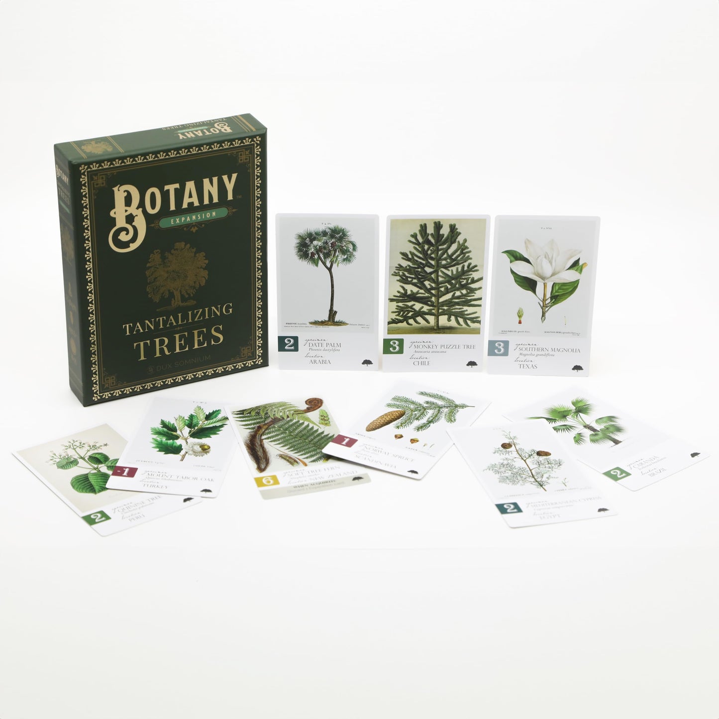 Botany: Tantalizing Trees Expansion | Family Strategy Game for Young Botanists and Adults | Ages 8+ | for 1-5 Players | Average Playtime 45-90 mins |