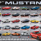 Ford Mustang Evolution