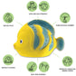 CaaOcho Pure Natural Rubber Bath Toy - La The Butterfly Fish Baby Toy - Hole Free Bath Toys, BPA Free Bath Toys for Infants, Without Holes Sealed