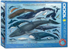 EuroGraphics Whales & Dolphins