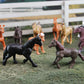 Safari Ltd. Horses TOOB - 12 Hand-Painted Mini Figurines Including Friesian, Haflinger, Stallion, Bay, Chestnut, Jutland, Trakehner, Clydesdale