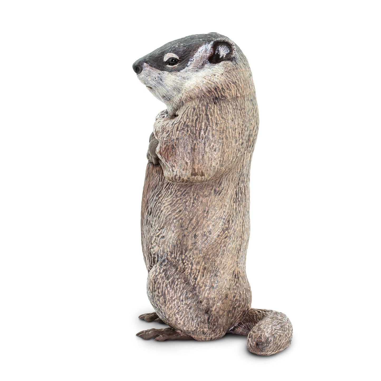 Safari Ltd. Groundhog - Lifelike 4.5" Model Figure - Educational Toy for Boys, Girls and Kids Ages 18 Months +