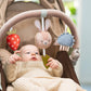 Taf Toys Activity Arch - Ideal for Infants & Toddlers, Fits Stroller & Pram, Stimulates Baby’s Senses, Easier Outdoors (Musical Bunny Arch)