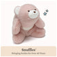 GUND Snuffles 10-Inch Classic Pink Teddy Bear Plush Toy for Ages 0+