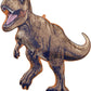 Jurassic Dinosaur World 5th Birthday Party Supplies Balloons Decorations