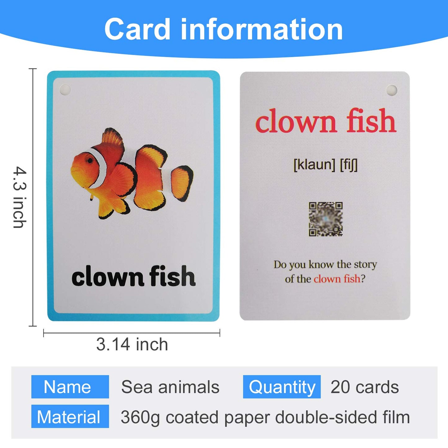 20PCS/Set Sea Animals Kids Gifts English Flash Cards Pocket Card Educational Learning Baby Toys for Children Pre-Kindergarten