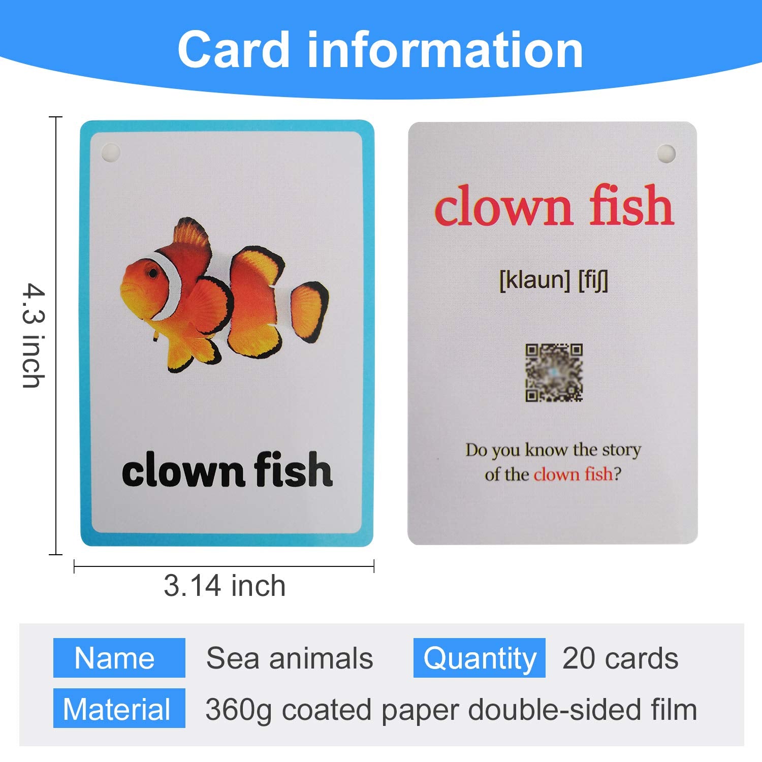 20PCS/Set Sea Animals Kids Gifts English Flash Cards Pocket Card Educational Learning Baby Toys for Children Pre-Kindergarten