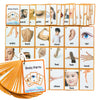 34PCS/Set Body Parts Kids Gifts English Flash Cards Pocket Card Educational Learning Baby Toys for Children Pre-Kindergarten
