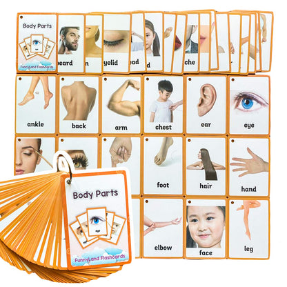 34PCS/Set Body Parts Kids Gifts English Flash Cards Pocket Card Educational Learning Baby Toys for Children Pre-Kindergarten