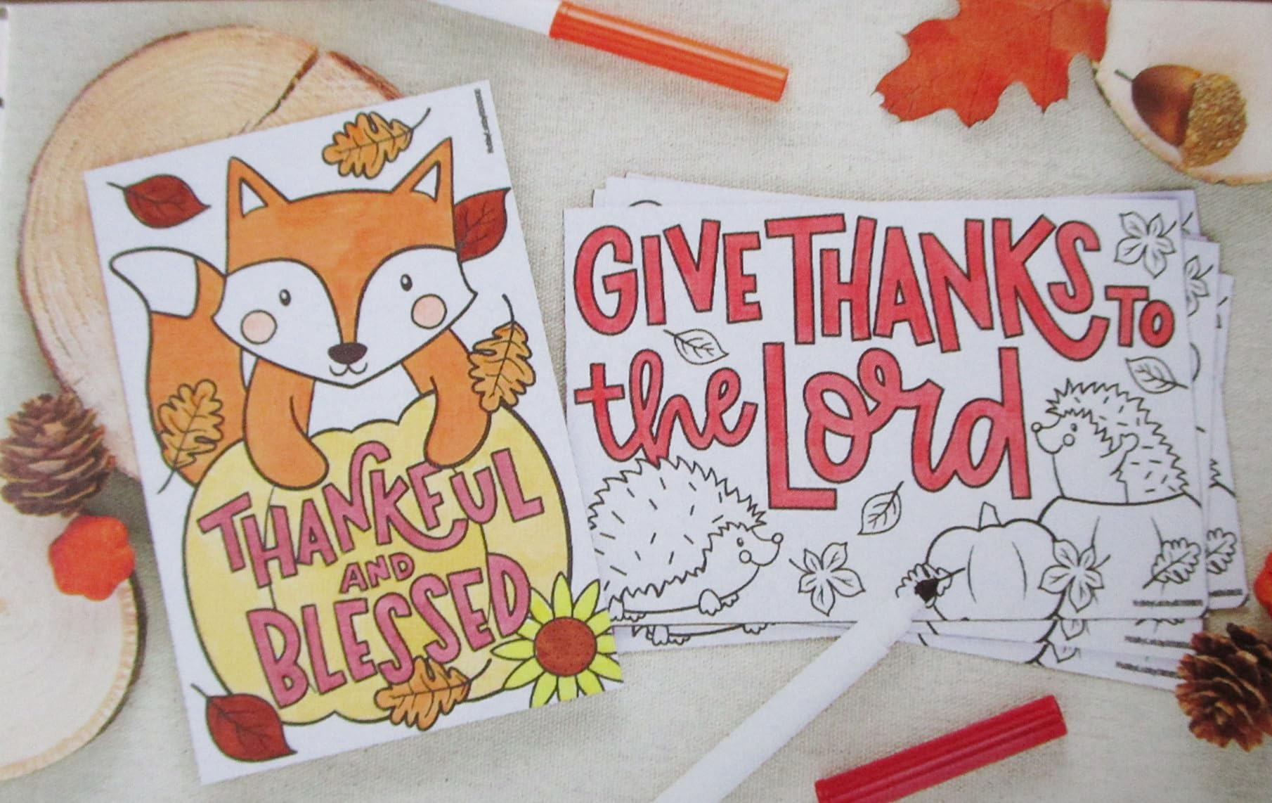 Thanksgiving Coloring Cards Kids Table Activity - 24 Pieces, 2 Designs
