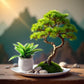 Dollhouse Plant Miniature Bonsai Plant, Mini Potted Plant Flower Model Ornament Dollhouse Furniture Toy, DIY Micro Scene Decor