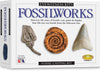 Kit, Fossilworks, Eyewitness