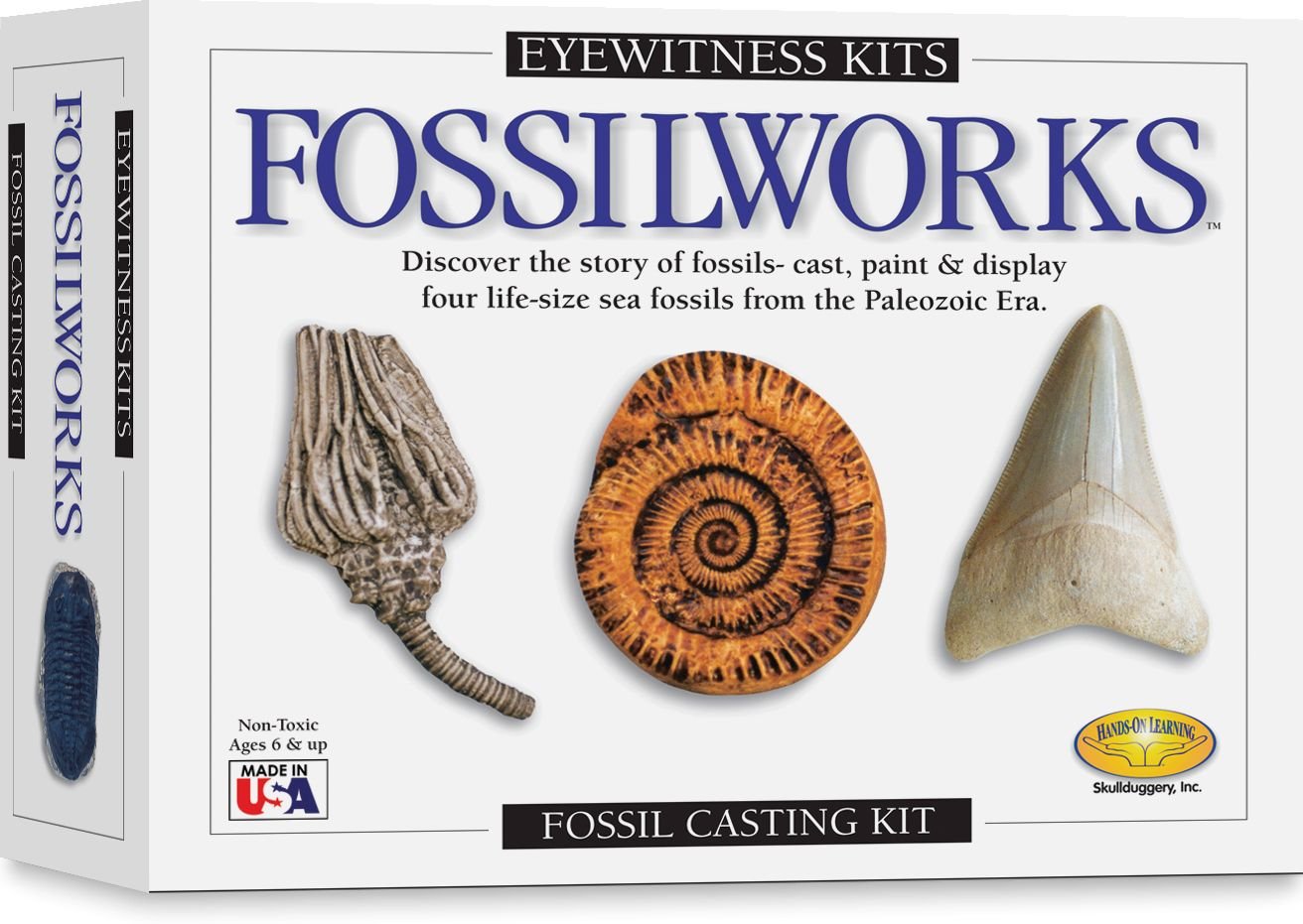 Kit, Fossilworks, Eyewitness