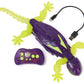 HEX Bots - Glow-in-the-Dark Radio-Controlled Gecko that crawls on the Floor and Walls - Remote Controlled Lizard with Luminous Eyes - Easy Control