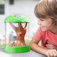 Educational Insights GeoSafari Ladybug Garden - Ladybug House with Live Ladybugs, Bug Catching Kit, Terrarium Kit for Kids & Toddlers, Bugs for Kids