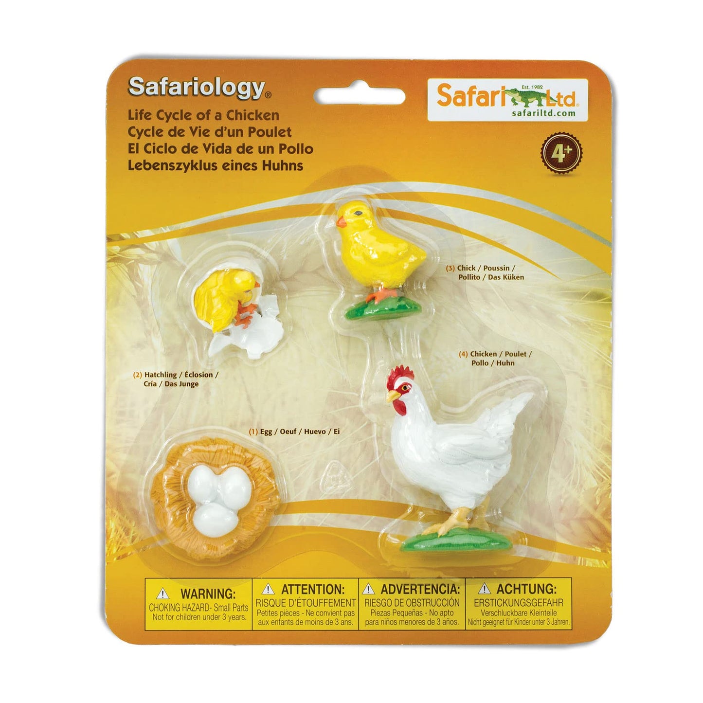 Safari Ltd. Life Cycle of a Chicken - Realistic Educational Toy Figurines - Miniature Poultry Lifecycle Collection for Boys, Girls & Kids Age 4+