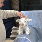 The Petting Zoo Goat Stuffed Animal Plushie, Gifts for Kids, Wild Onez Babiez Farm Animals, Goat Plush Toy 6 inches