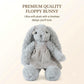 BiluKano 12" Floppy Bunny Stuffed Animal, Ultra Soft Plush Bunny Rabbit with Striped Dress & Bow, Easter Bunny Plush for Baby Girls, Stuffed Bunny
